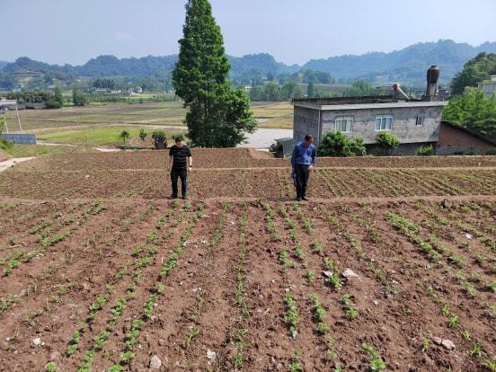 路南区农业农村局新项目推动农业现代化助力乡村振兴