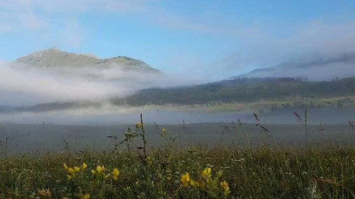 云岫山庄未来揭秘，最新消息揭开神秘面纱