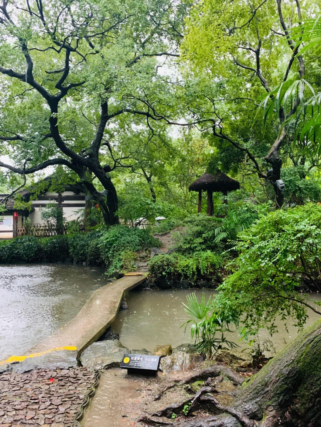 绍兴鲁迅故里与沈园景区之旅，最新天气下的探索之旅