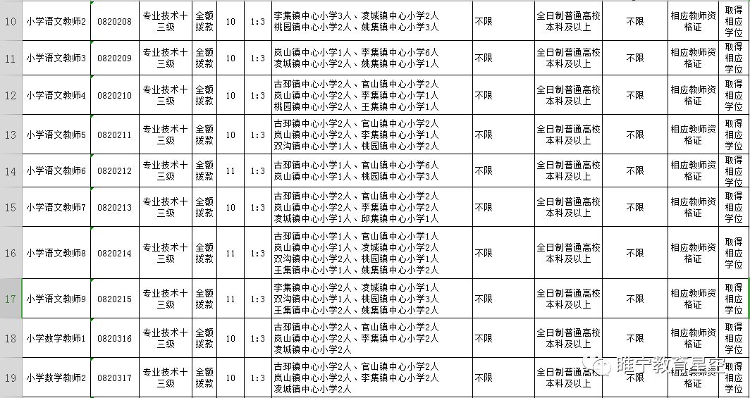 睢宁县小学最新招聘概览，教育人才的机遇与挑战