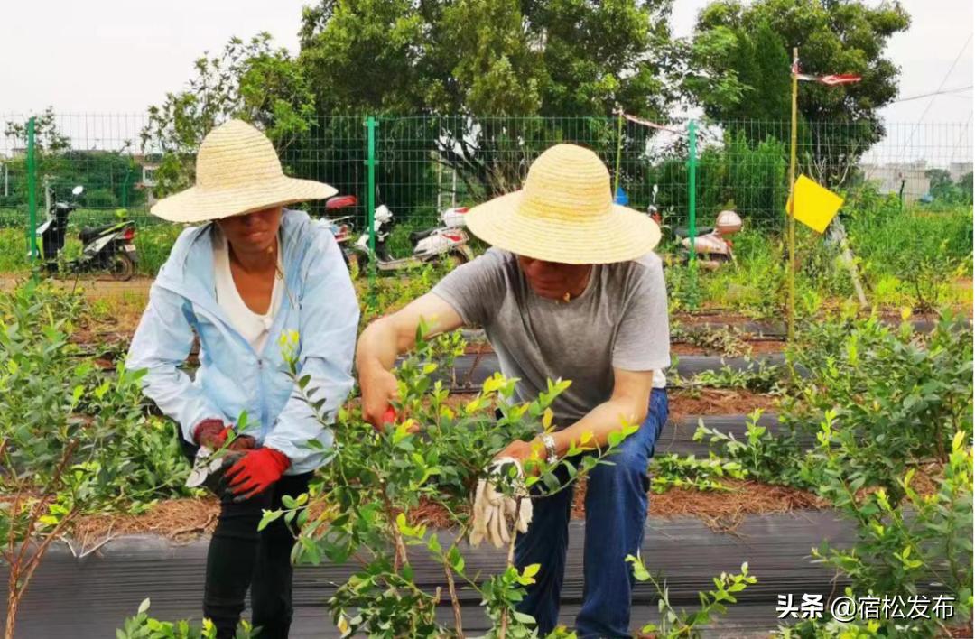 千岭乡交通迈向现代化新篇章，最新交通新闻更新