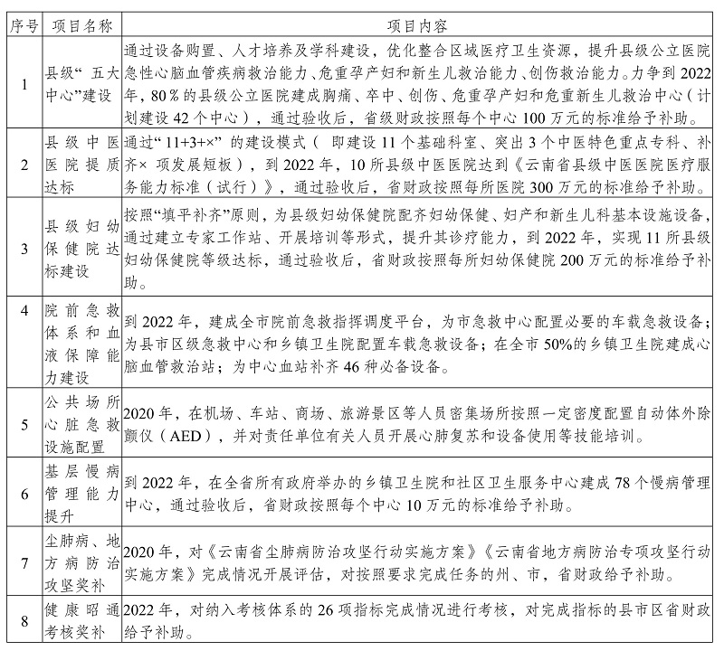 陇川县卫生健康局最新发展规划概览