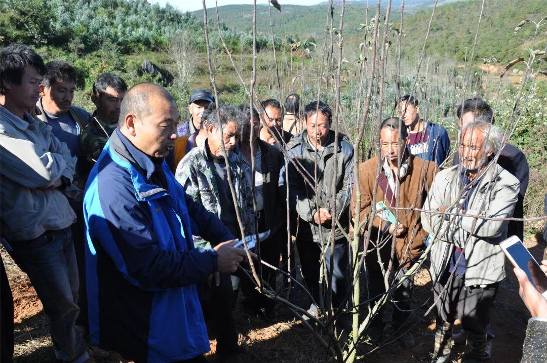 白土村委会人事大调整，重塑领导团队，开启村级发展新篇章