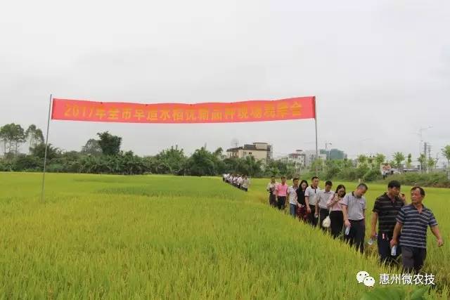 张家港市稻麦良种场最新招聘启事概览