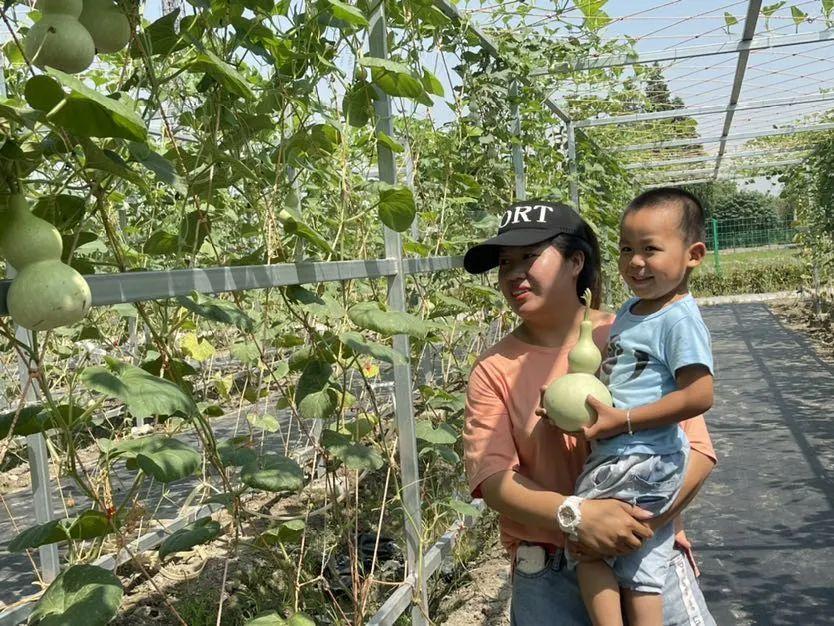 多平村发展规划概览