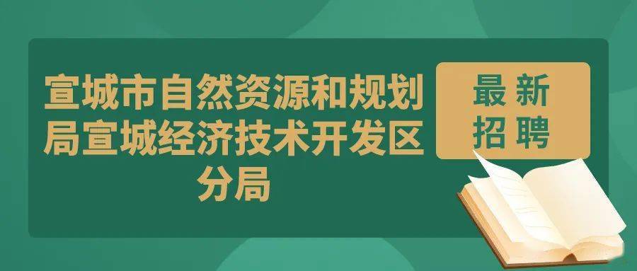 金安区自然资源和规划局最新招聘公告解读