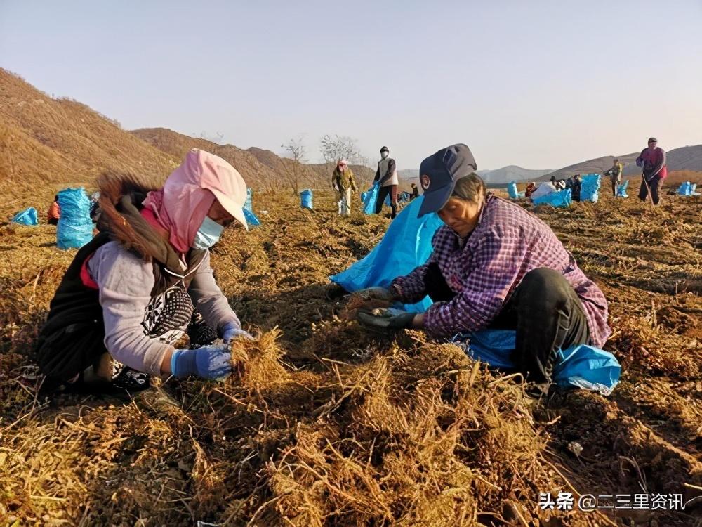 荒地满族镇重塑振兴蓝图，最新项目启动