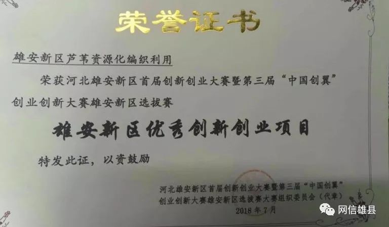 玛雄村人事任命最新动态与未来展望