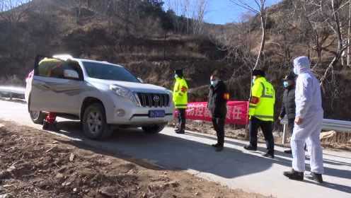 陌上柳絮倾城雪