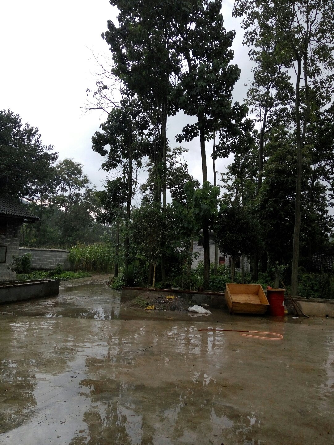 雨后彩虹