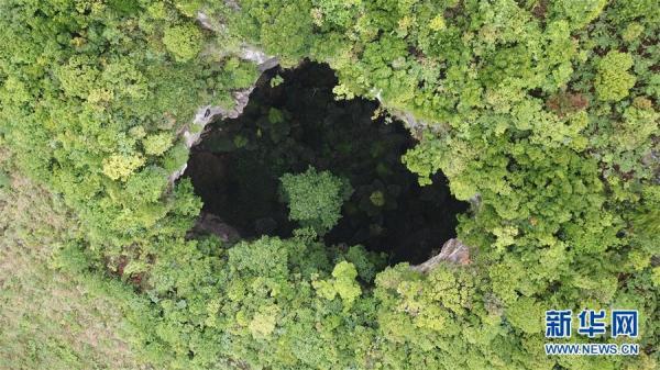 那坡县市场监督管理局新项目推动市场监管现代化，助力地方经济飞跃发展