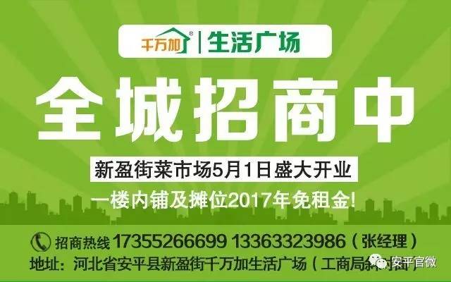 福安市人力资源和社会保障局最新招聘信息全面解析