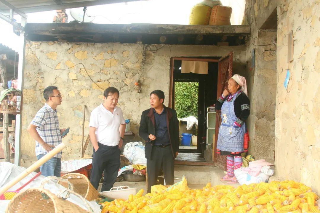 贾沙乡未来繁荣与生态和谐发展规划蓝图揭晓