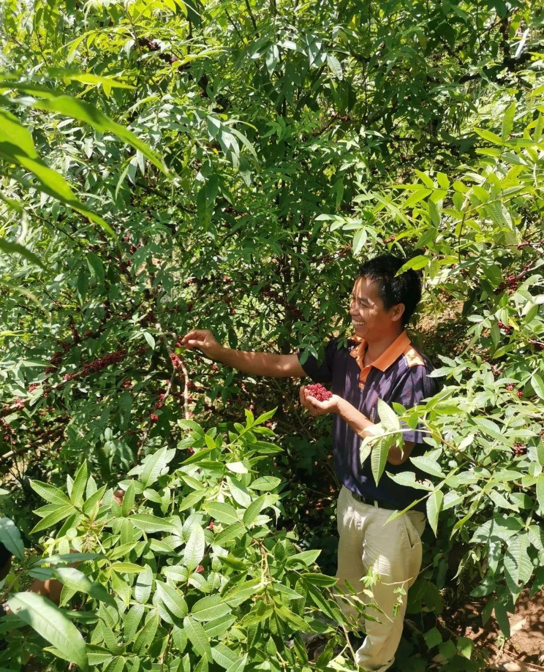 嘎娄最新领导引领变革重塑未来之路