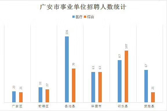 广安市统计局最新招聘信息全面解析