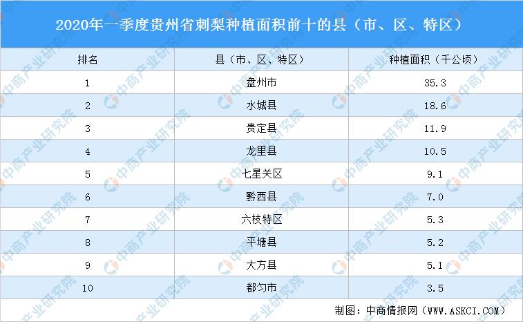 贵定县统计局发展规划揭秘，探索未来，推动县域经济腾飞之路