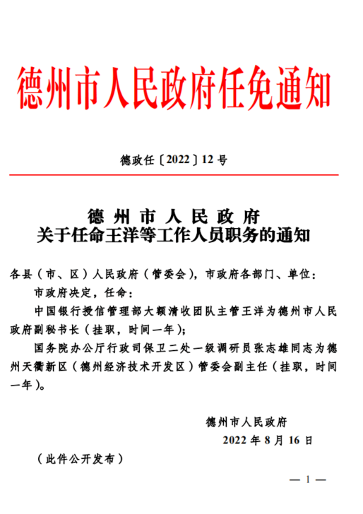 省直辖县级行政单位市行政审批办公室人事任命研究报告