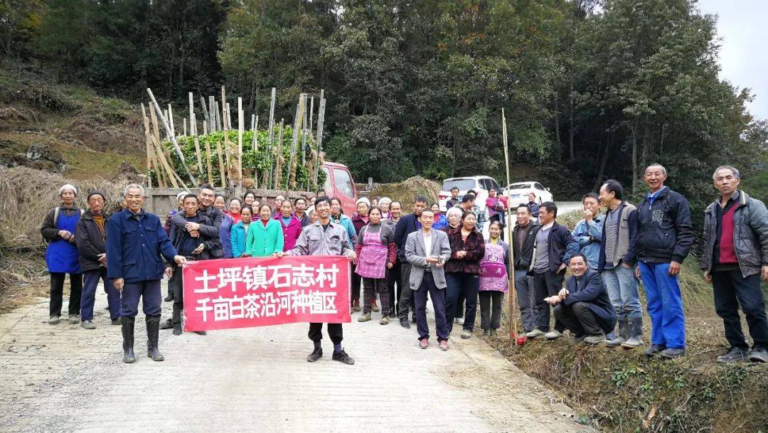 土坪村委会最新动态报道