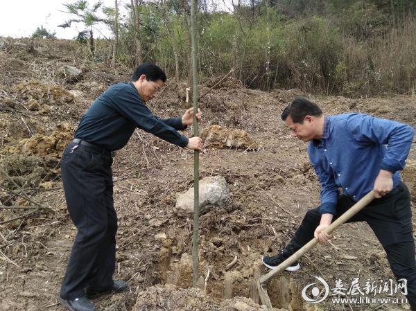 冷水江市水利局推动水利建设高质量发展新动态