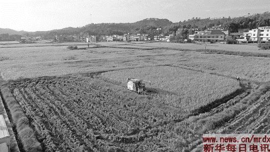 杰地村新项目启动，乡村振兴新篇章